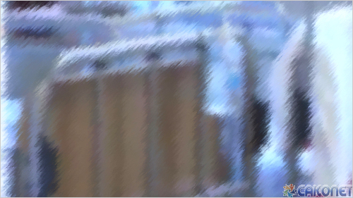 8653453.jpg